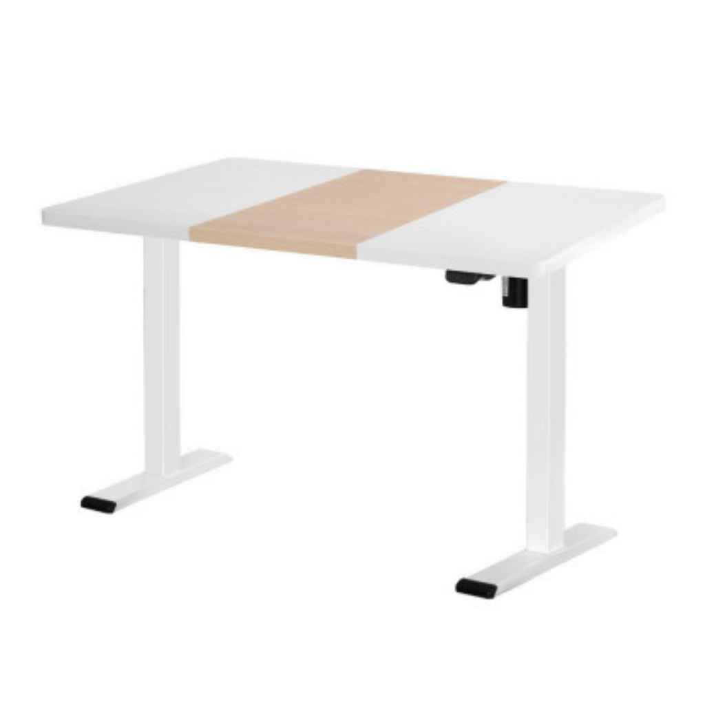 Artiss Electric Standing Desk