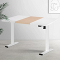 Artiss Electric Standing Desk